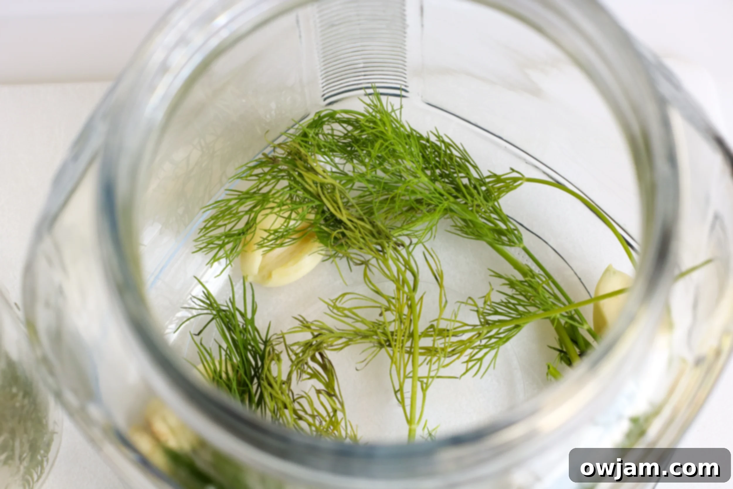 Refrigerator Dill Pickles dill in jar.