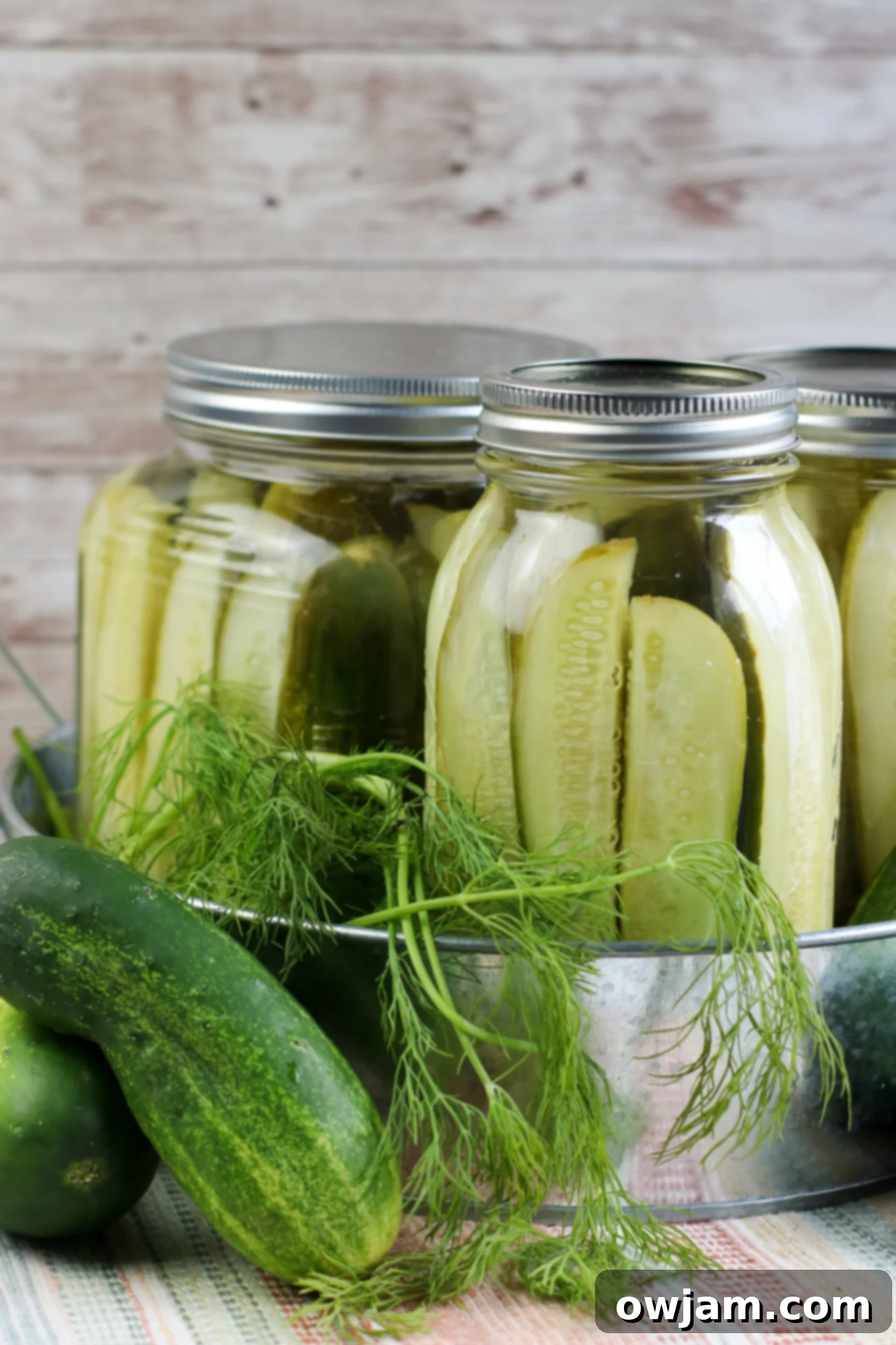 Refrigerator Dill Pickles with dill.