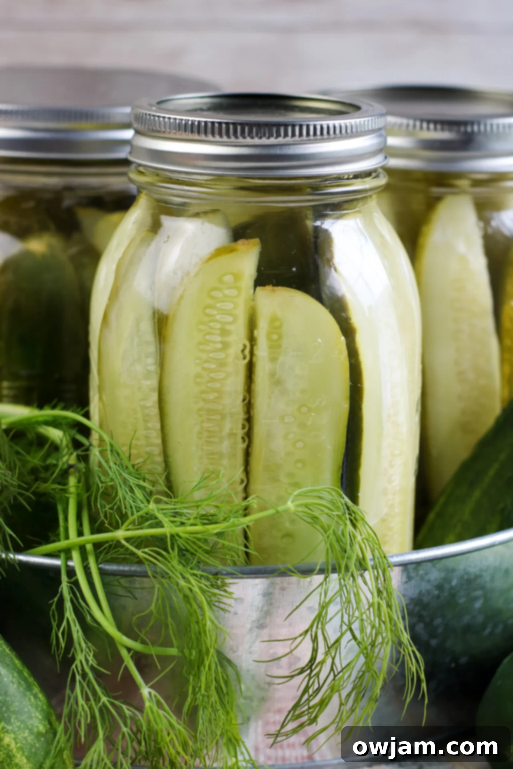 Refrigerator Dill Pickles in jars.