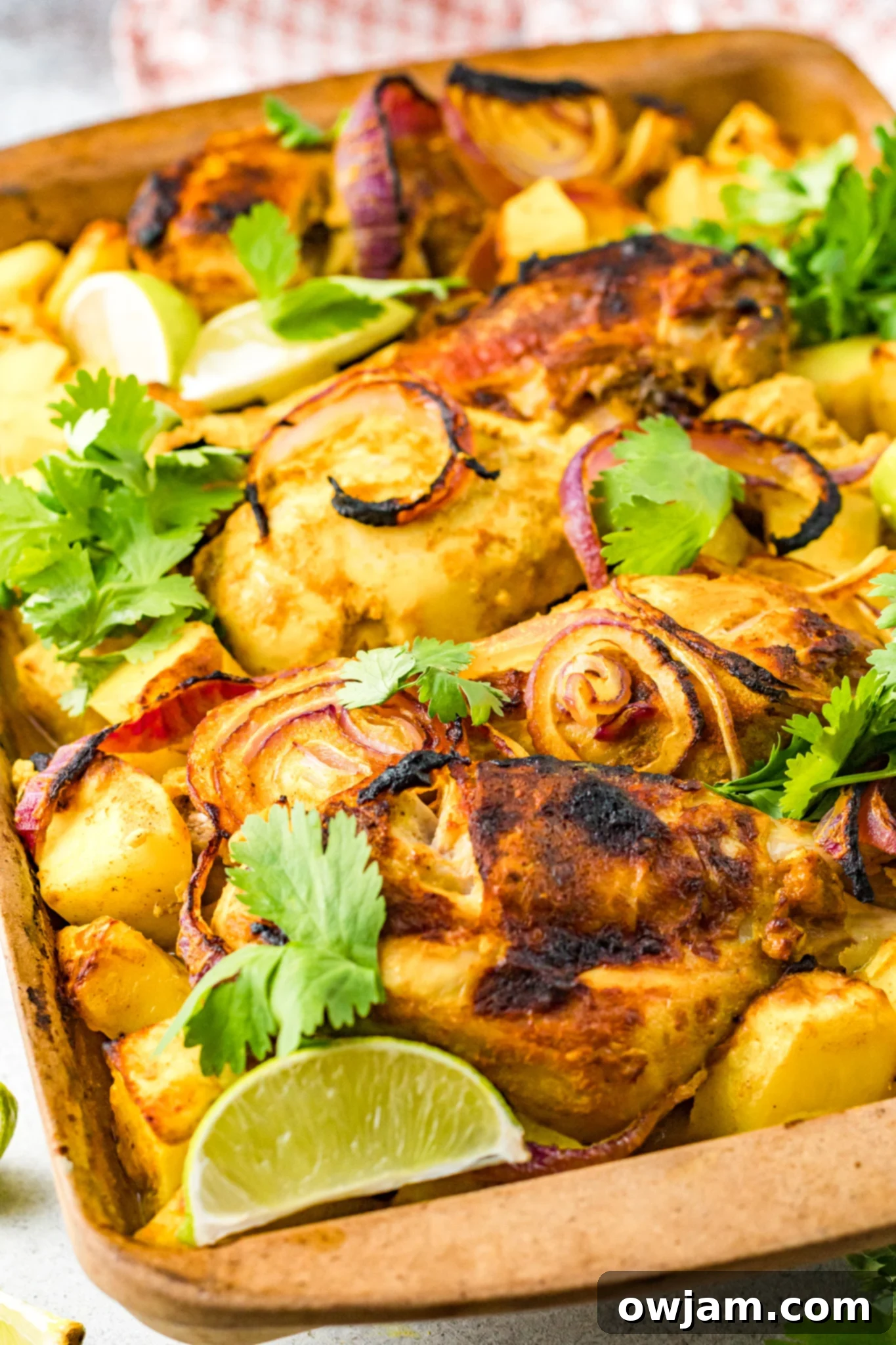 Air Fryer Tandoori Chicken Legs served with sliced red onion and cilantro.