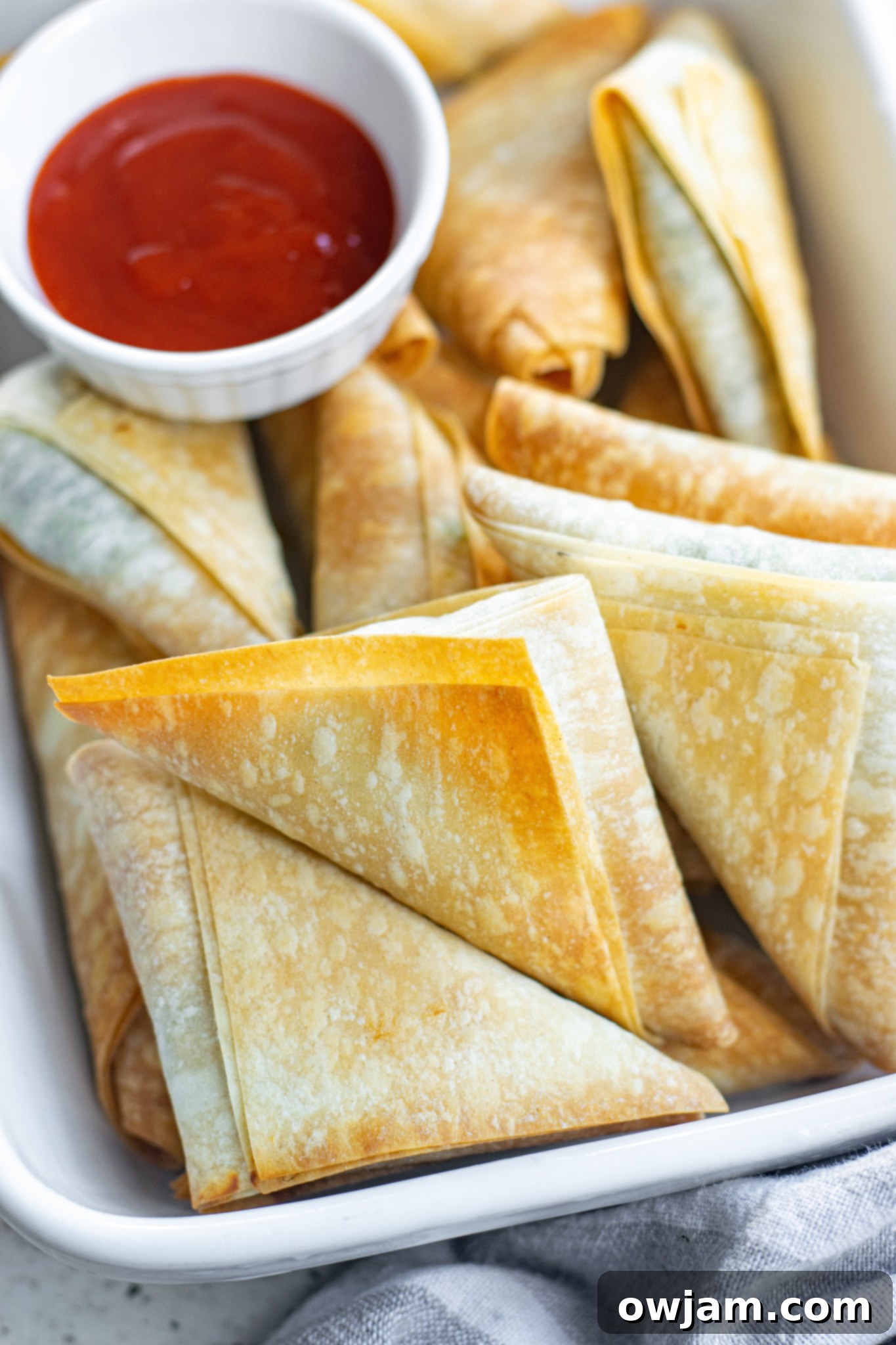 Crispy Spanakopita Pastries 2 Golden brown Spanakopita Triangles Recipe arranged beautifully with a light sauce.