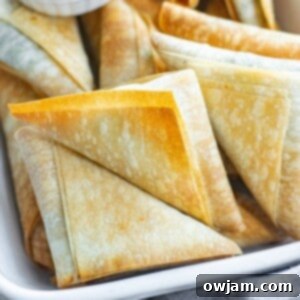 Crispy Spanakopita Pastries 12 Spanakopita Triangles 1200 x 1200