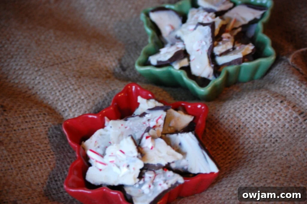 Delicious Peppermint Bark made with dark and white chocolate, topped with crushed candy canes, perfect for Christmas.