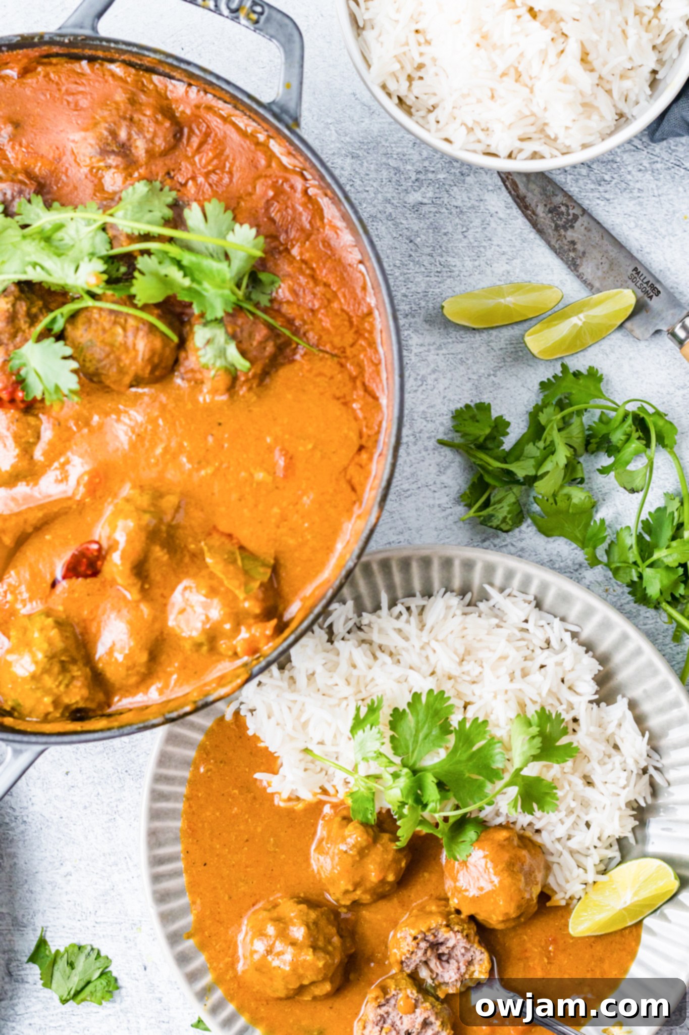 Flavorful Curry Meatballs 3 Curry Meatballs Recipe with rice.