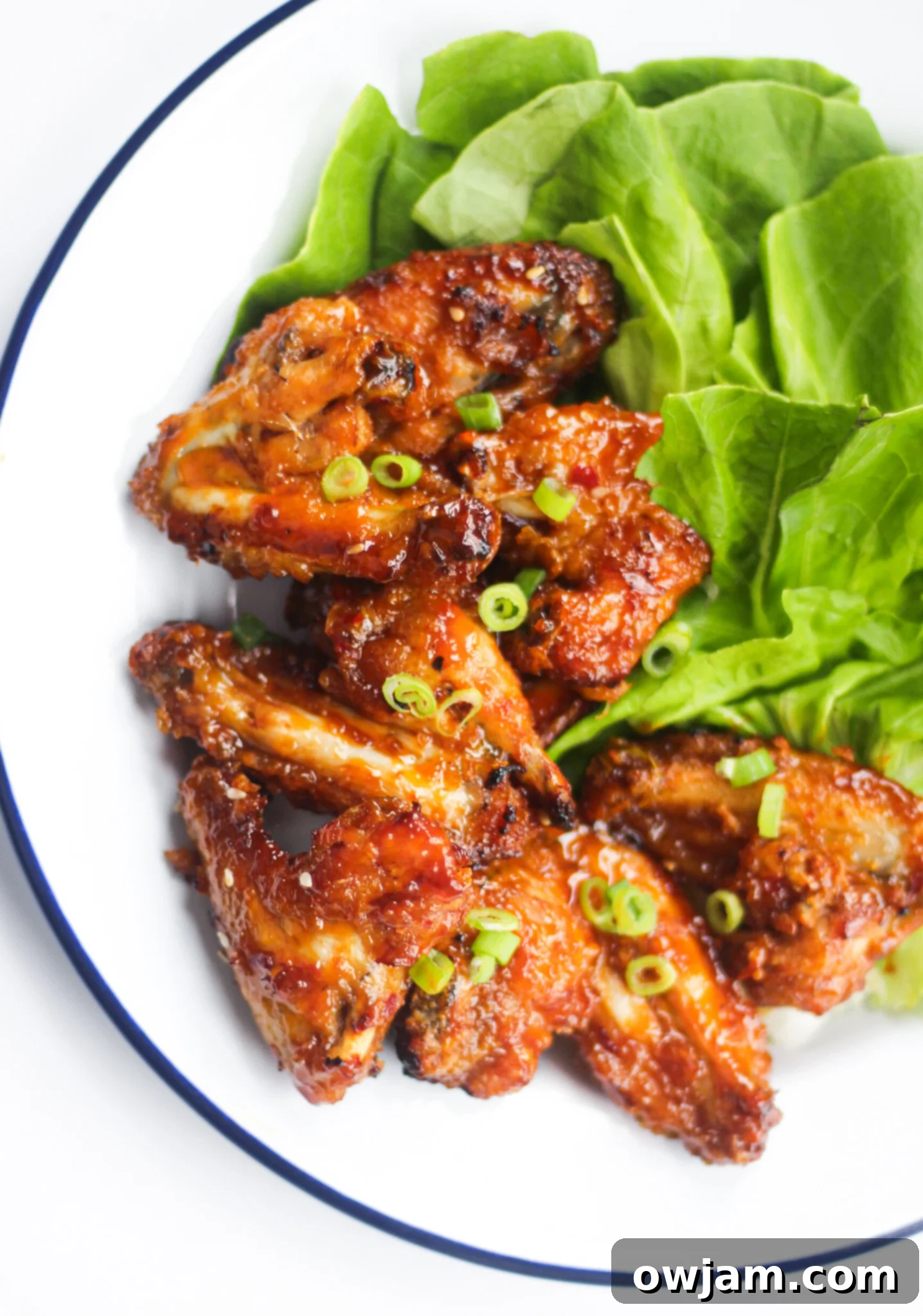Plate of golden-brown Air Fryer Chicken Wings, perfectly crispy and coated in sweet tangy sauce, ready to be served.