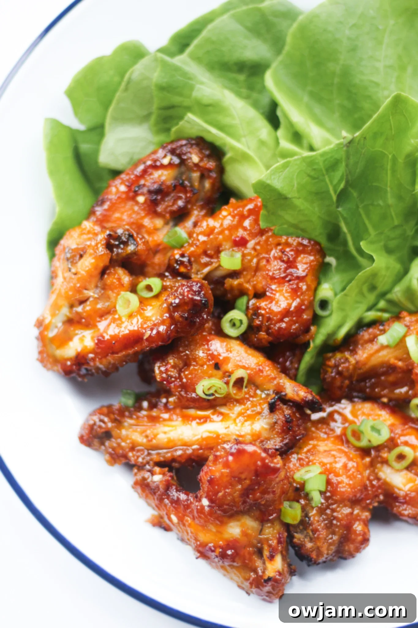 Finished Air Fryer Chicken Wings presented on a plate, beautifully garnished with chopped green onions and sesame seeds.