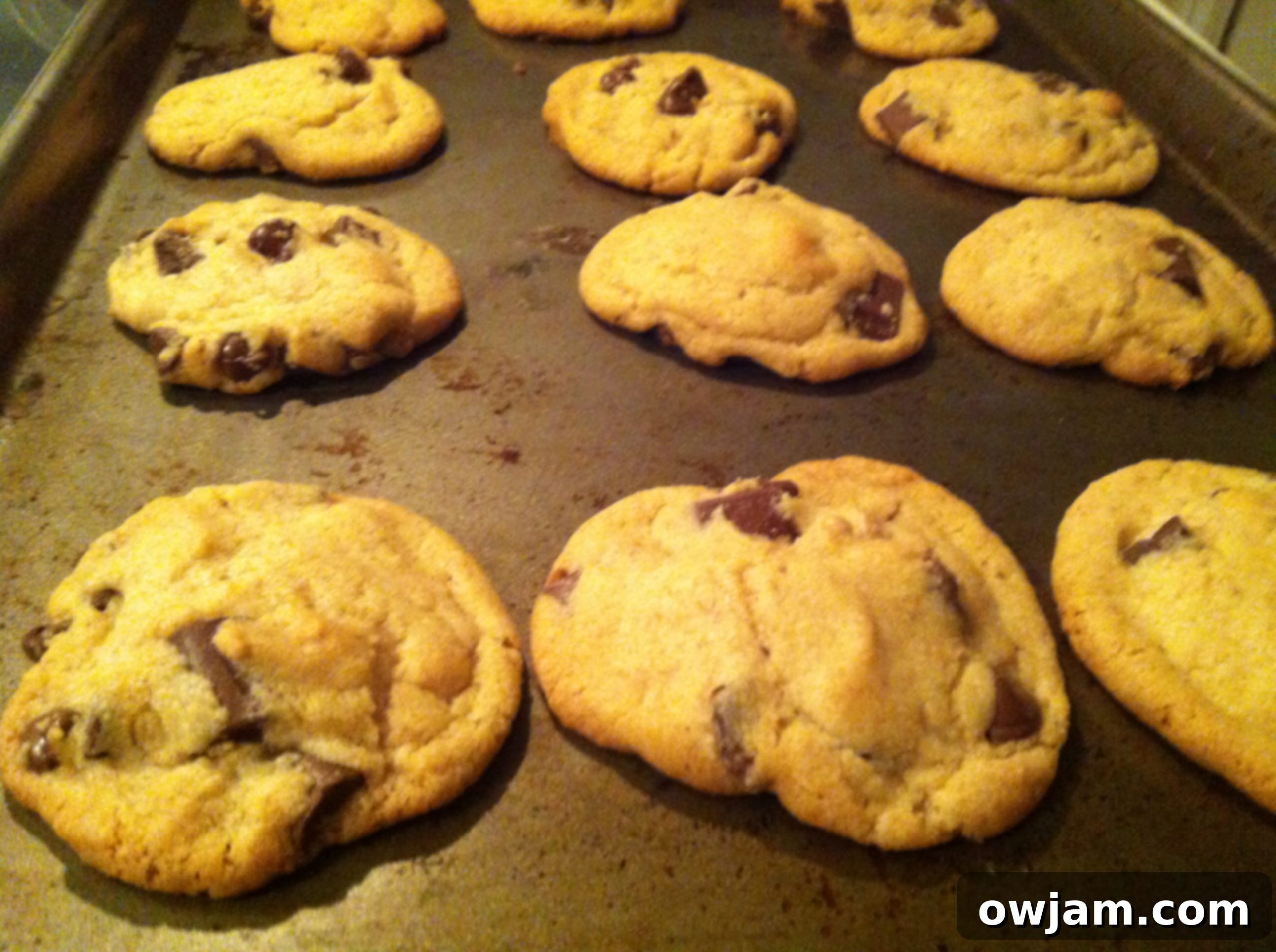 Freshly baked Double Chip Chocolate Chunk Cookies on a baking sheet
