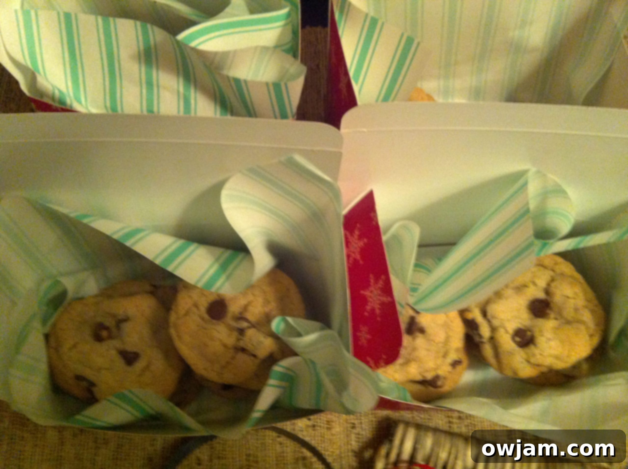 Double Chip Chocolate Chunk Cookies packed securely for shipment