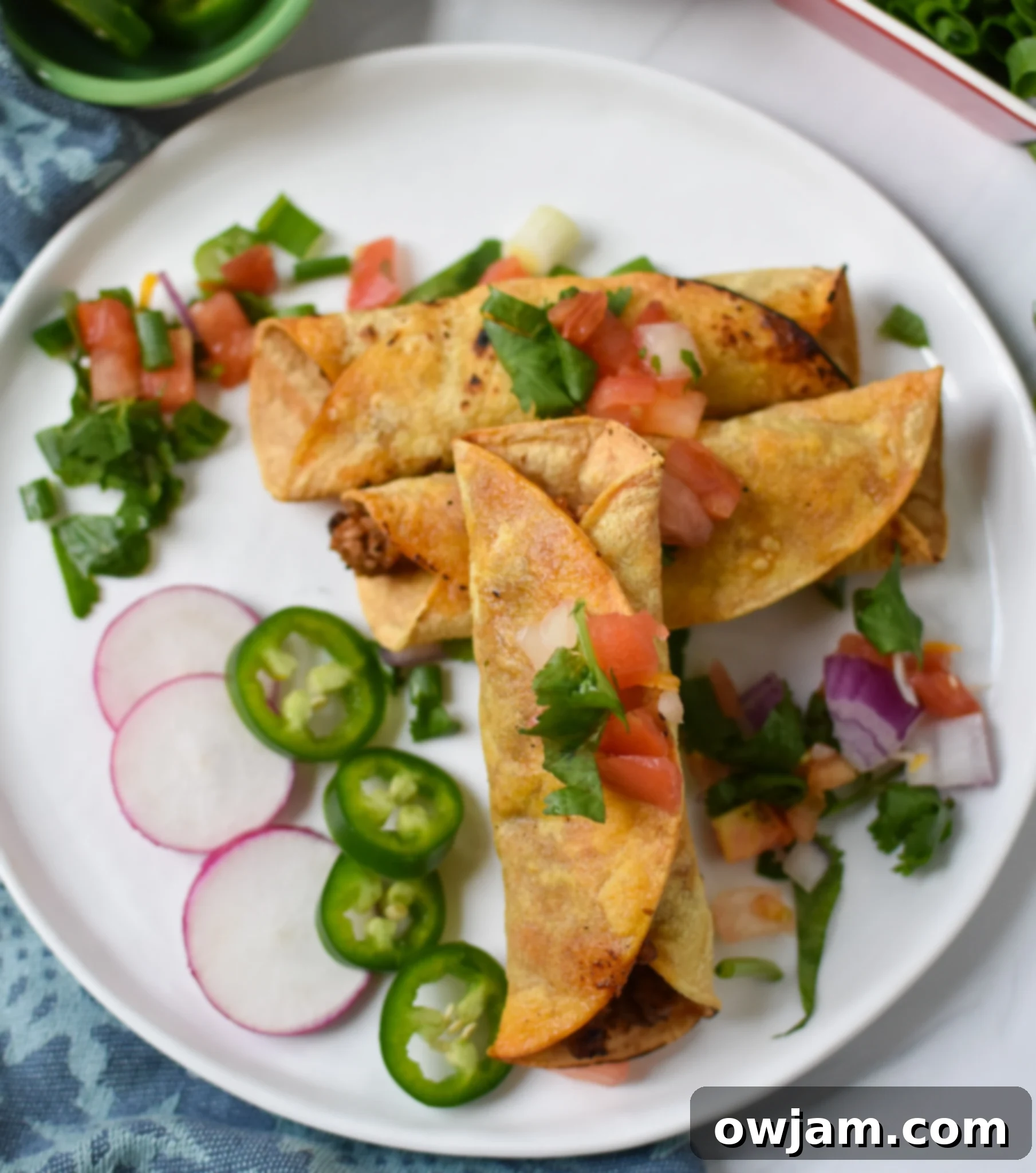 Close-up of Air Fryer Pork Taquitos garnished with radishes and cilantro, highlighting their crispy texture.
