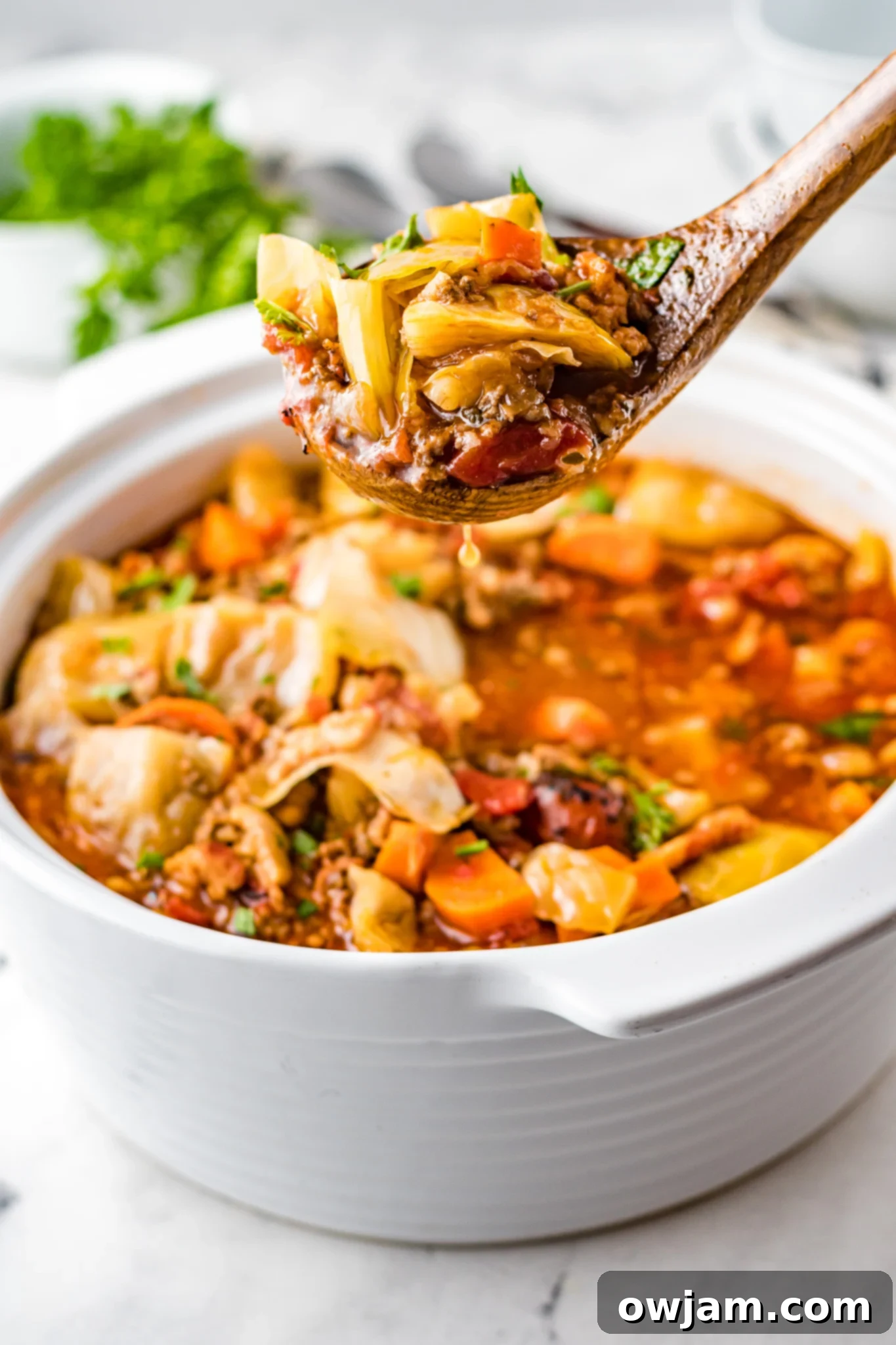 Deconstructed Cabbage Roll Soup 2 A white pot filled with steaming Cabbage Roll Soup, garnished with fresh parsley.