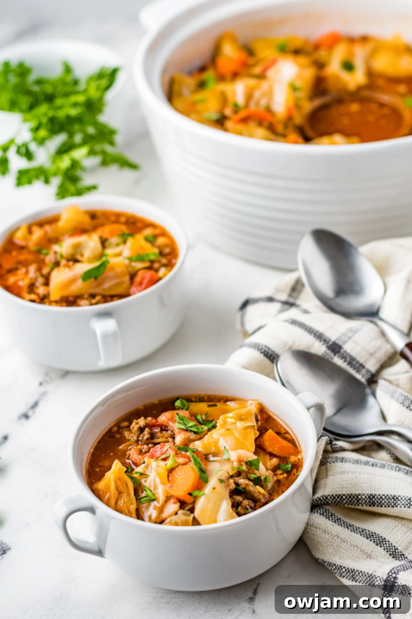 Deconstructed Cabbage Roll Soup 4 Two small white bowls filled with Cabbage Roll Soup, garnished with fresh herbs.