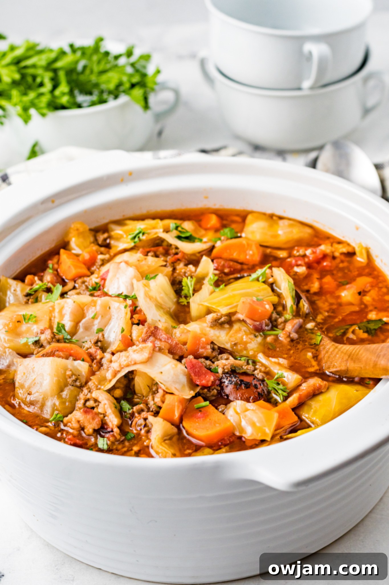 Deconstructed Cabbage Roll Soup 8 A serving of Cabbage Roll Soup in a white bowl, with a wooden spoon resting in it.