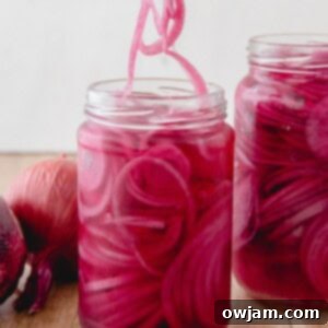 Quick Pickled Red Onions 1200 x 1200