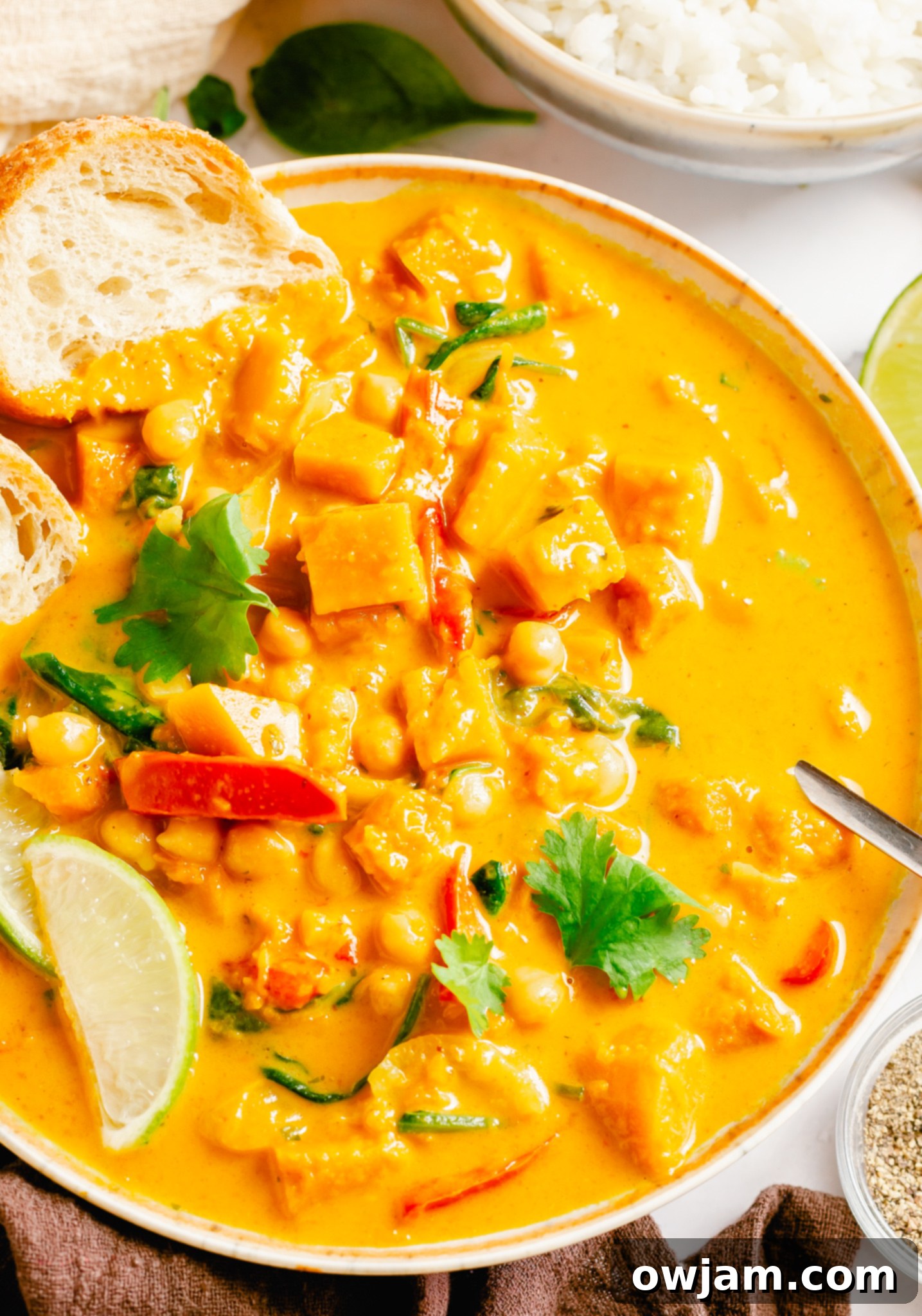 A vibrant bowl of Pumpkin Curry Recipe garnished with fresh cilantro, ready to be enjoyed.