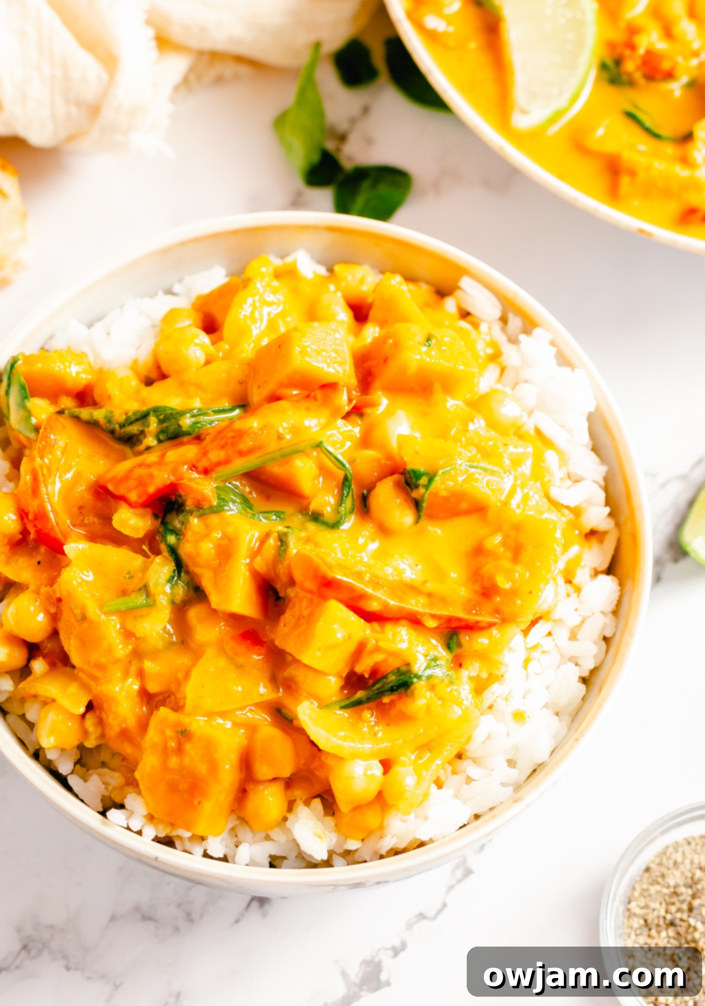 Pumpkin Curry Recipe served with fluffy white rice in a bowl.