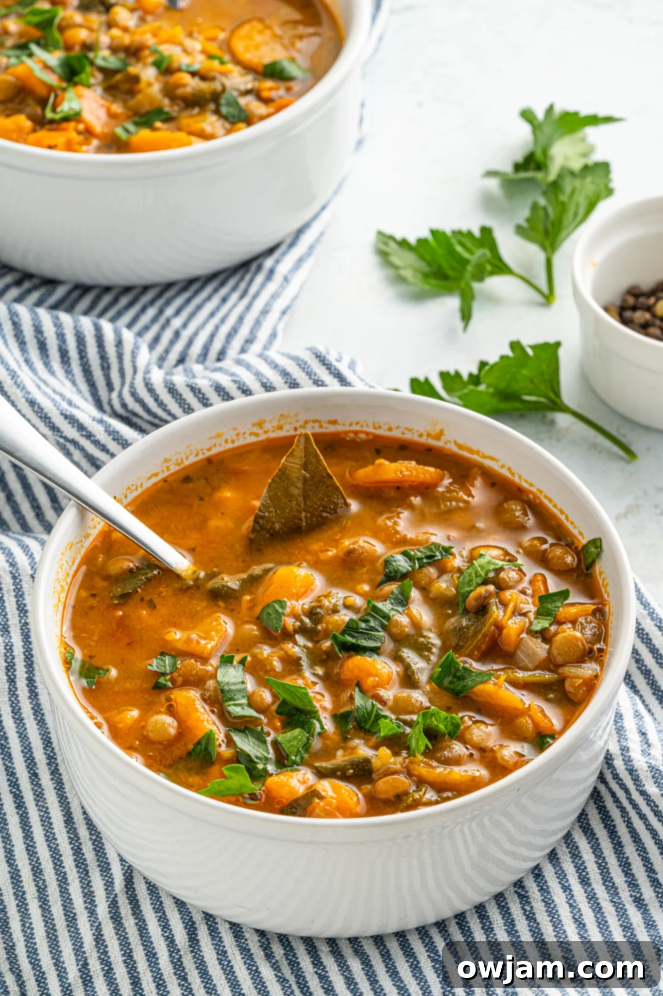 Nourishing Sweet Potato and Lentil Soup 2 A beautifully presented bowl of Sweet Potato Lentil Soup with a spoon, ready to be enjoyed.