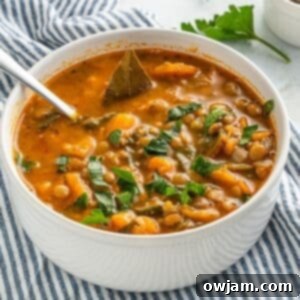 Nourishing Sweet Potato and Lentil Soup 9 Delicious Sweet Potato Lentil Soup, a healthy and comforting vegan dish.