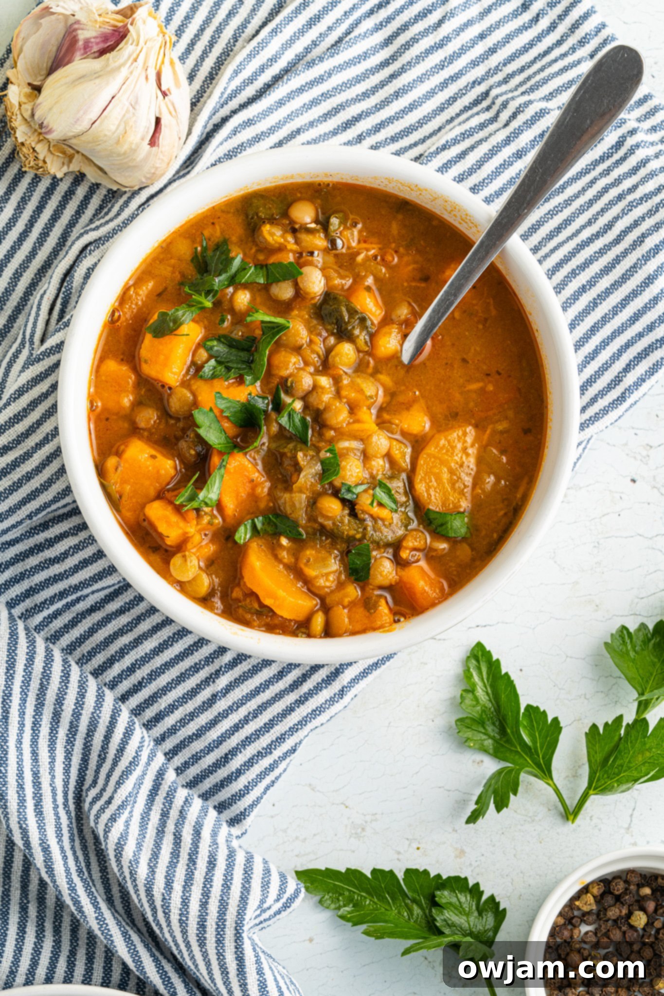 Nourishing Sweet Potato and Lentil Soup 4 A close-up of a bowl of Sweet Potato Lentil Soup, garnished with fresh parsley for a vibrant finish.