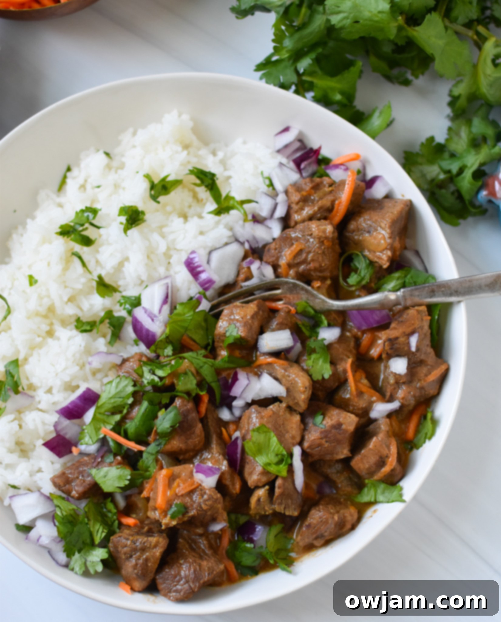 Close-up of Slow Cooker Beef Curry with carrots and fresh cilantro, served over rice with naan bread on the side.