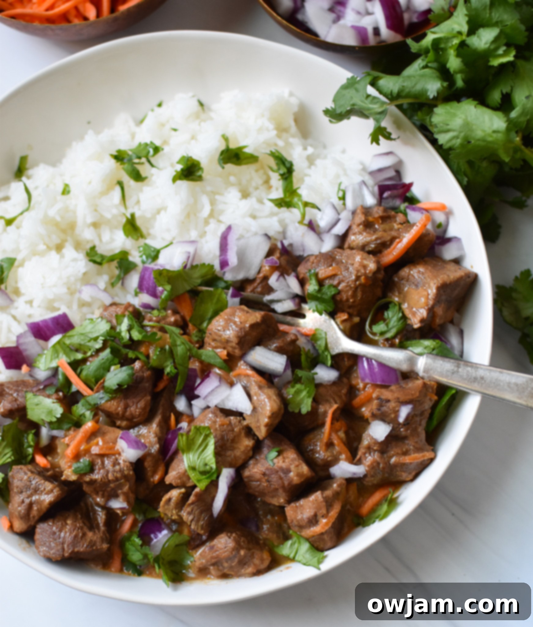 Close-up of Slow Cooker Beef Curry with a fork, showing tender beef and rich sauce, ready for storage.