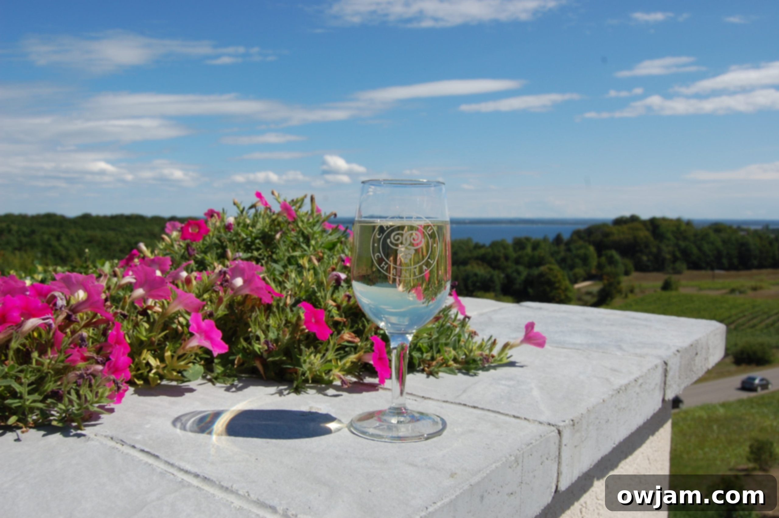 Panoramic view from Chateau Chantal overlooking vineyards and Grand Traverse Bay