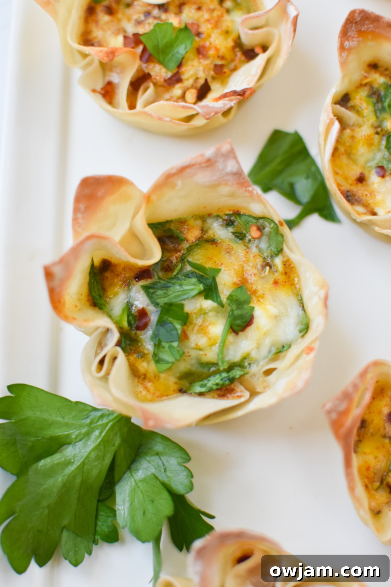 Crispy Mediterranean Feta Parcels 2 Mediterranean Quiche Wontons on a white platter, ready to be served.