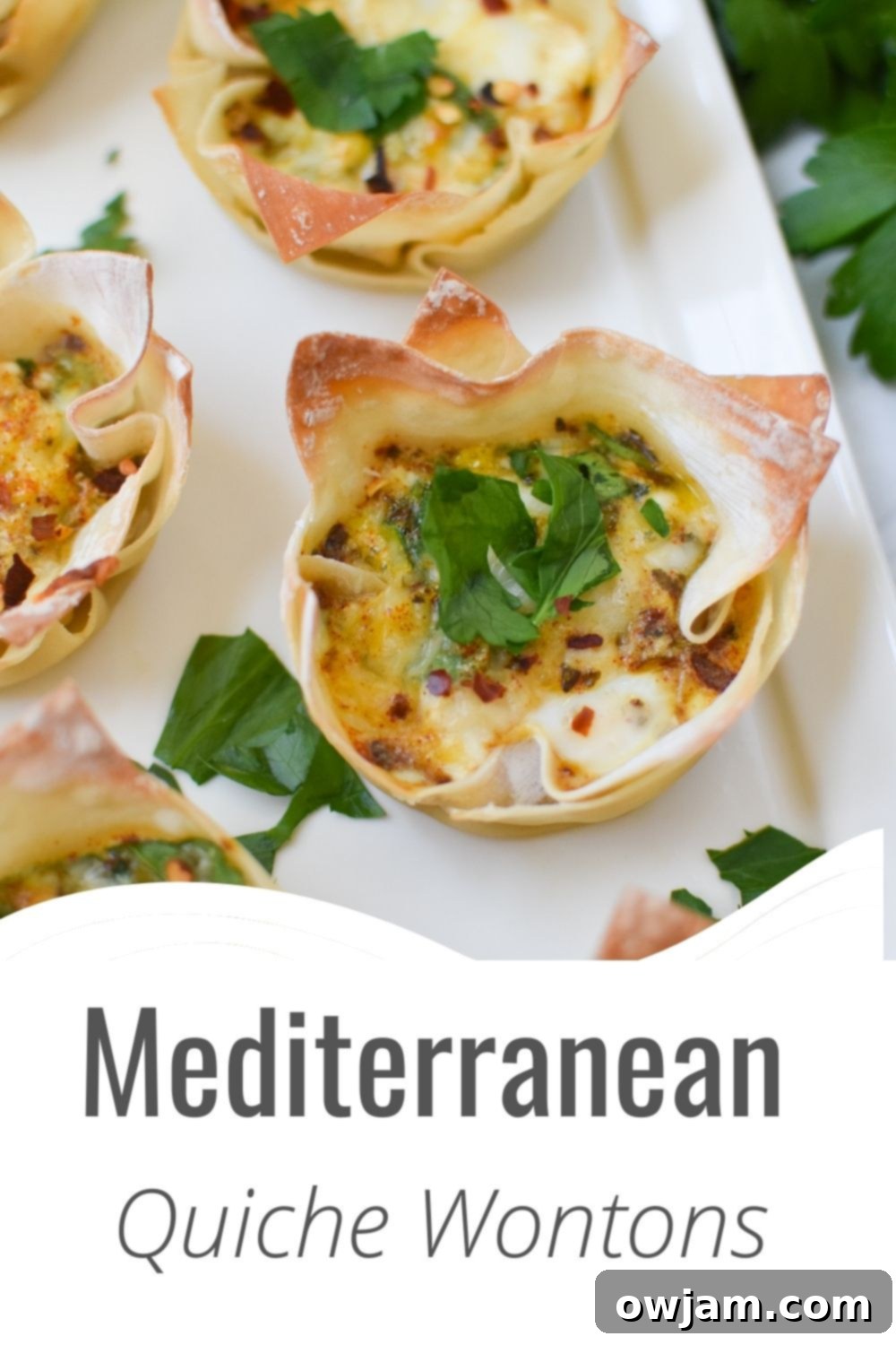Crispy Mediterranean Feta Parcels 11 Final plated Mediterranean Quiche Wontons with a brand logo.