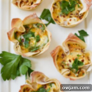 Crispy Mediterranean Feta Parcels 12 A finished Mediterranean Quiche Wonton, ready to eat.