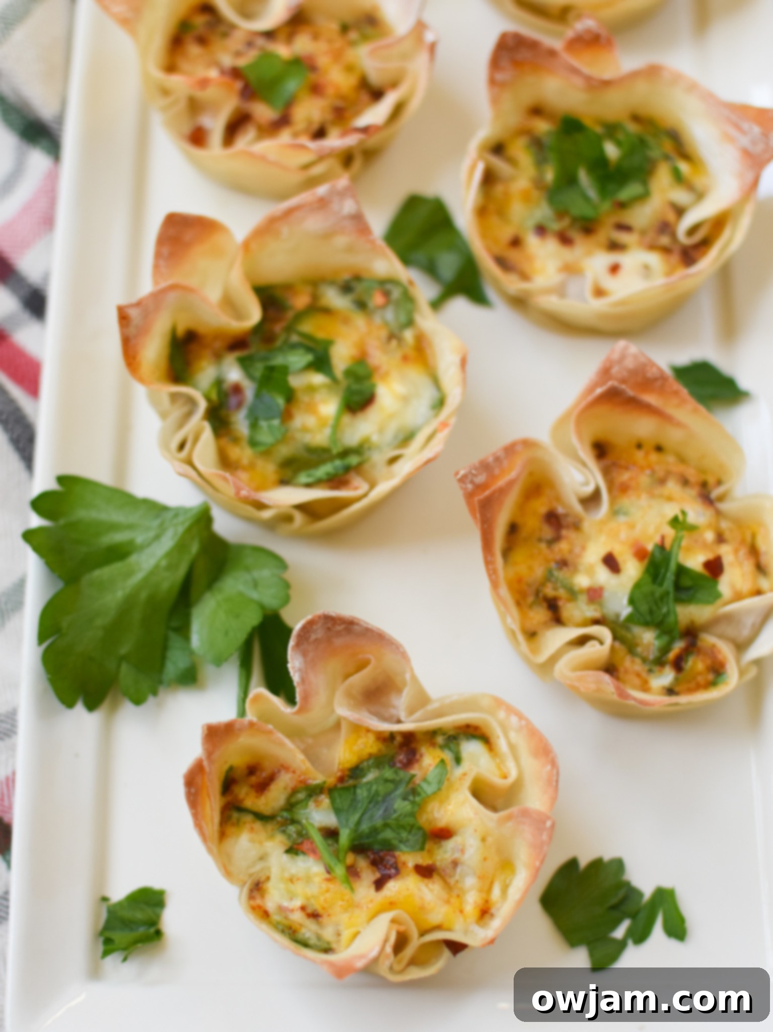 Crispy Mediterranean Feta Parcels 4 A few Mediterranean Quiche Wontons on a white plate, garnished.