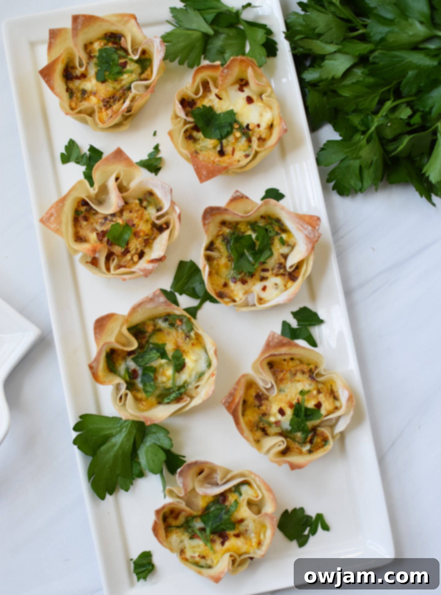 Crispy Mediterranean Feta Parcels 10 Platter of Mediterranean Quiche Wontons with parsley and cheese garnish.