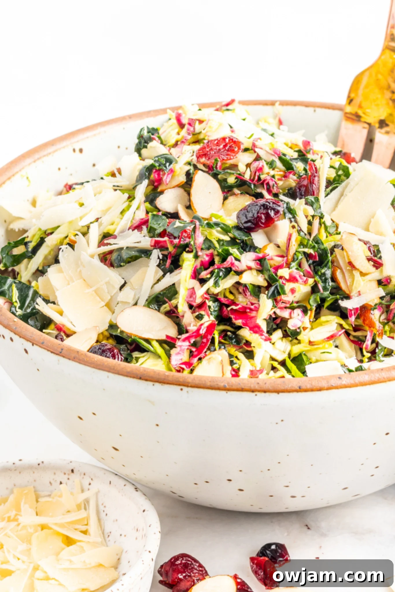 Winter Coleslaw Salad in a white bowl with a gold fork.