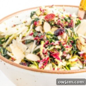 Crispy Kale Medley 8 Crunchy Kale Slaw 1200 x 1200