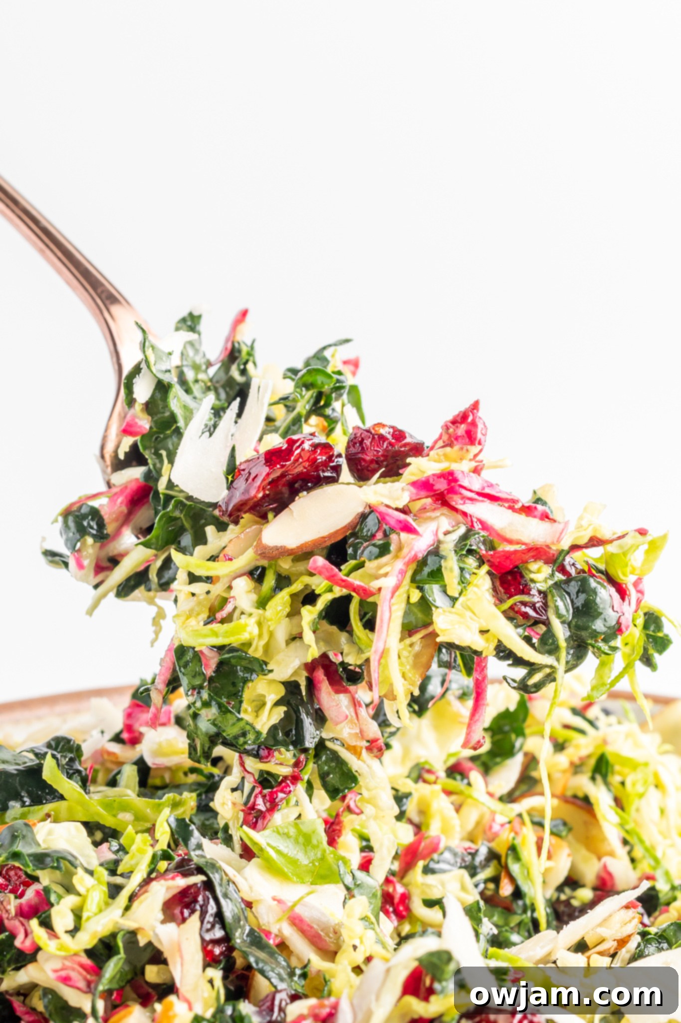 Crispy Kale Medley 4 Winter Coleslaw Salad with a fork.