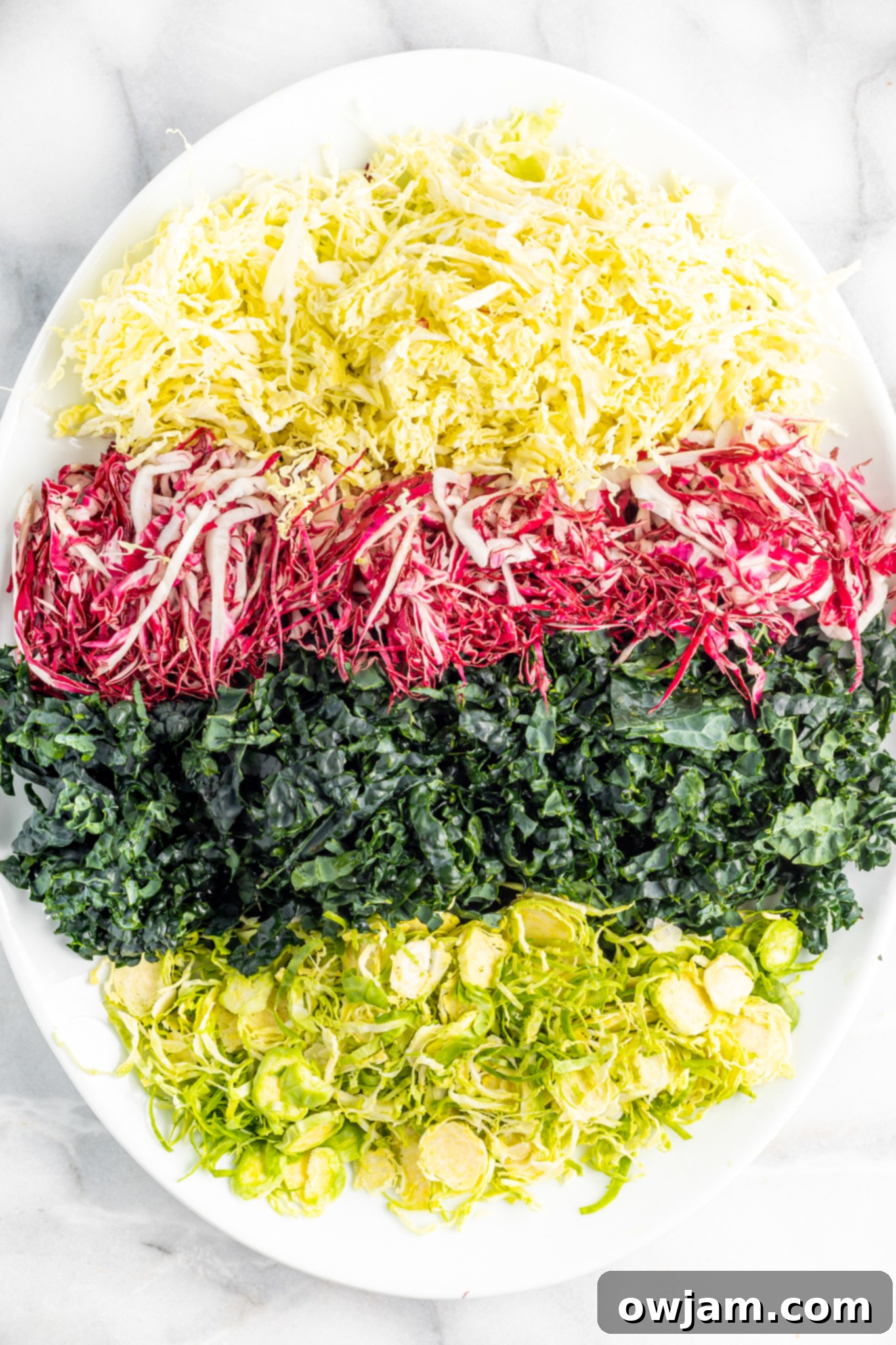 Crispy Kale Medley 6 Winter Coleslaw Salad cabbage on a platter.