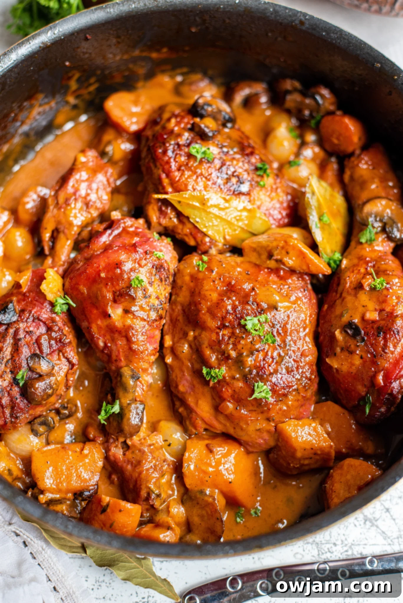 Coq au Vin Recipe: Rich French chicken stew simmering in a large pot, ready to serve.