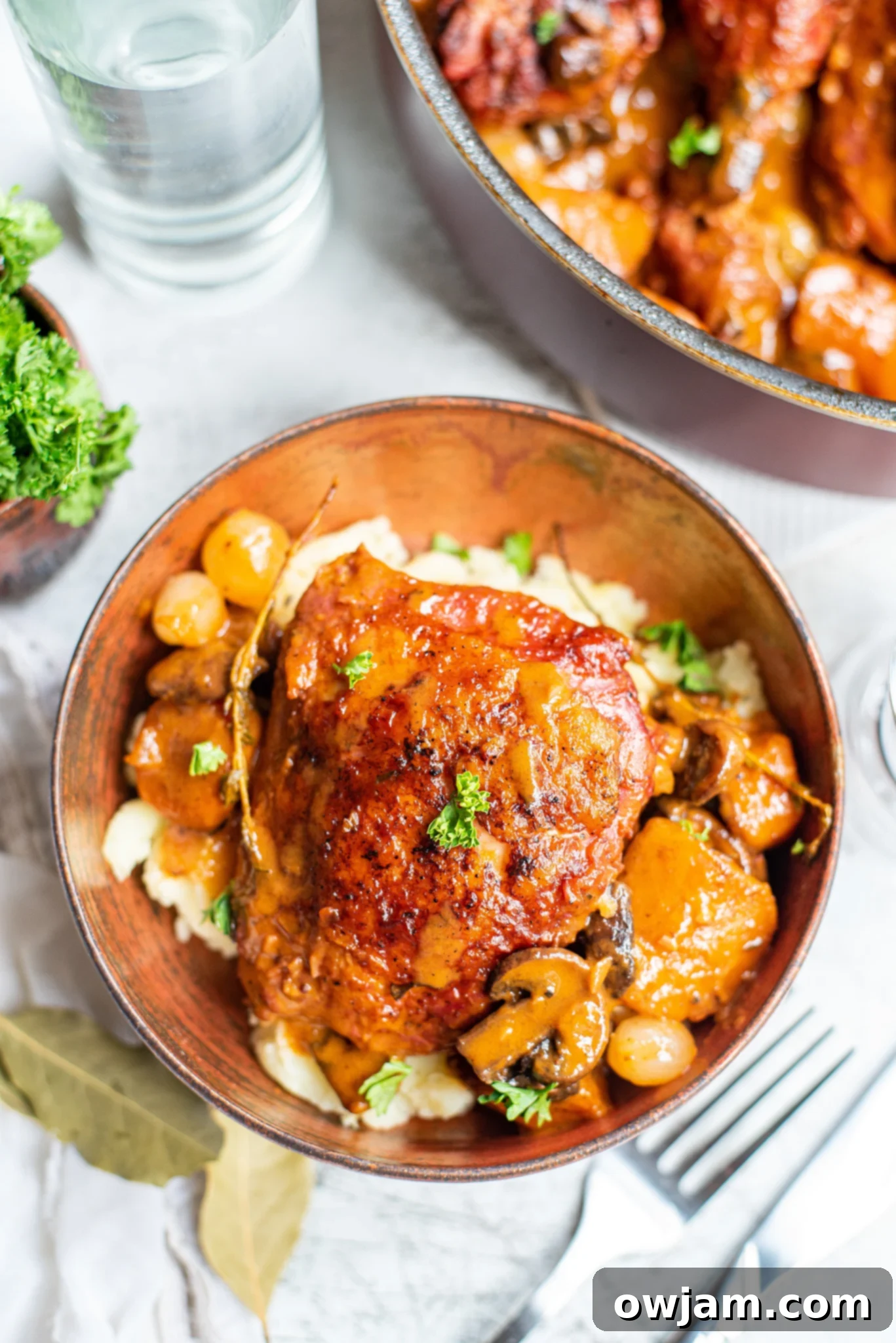 Coq au Vin Recipe served with creamy mashed potatoes, showcasing the rich sauce and tender chicken.