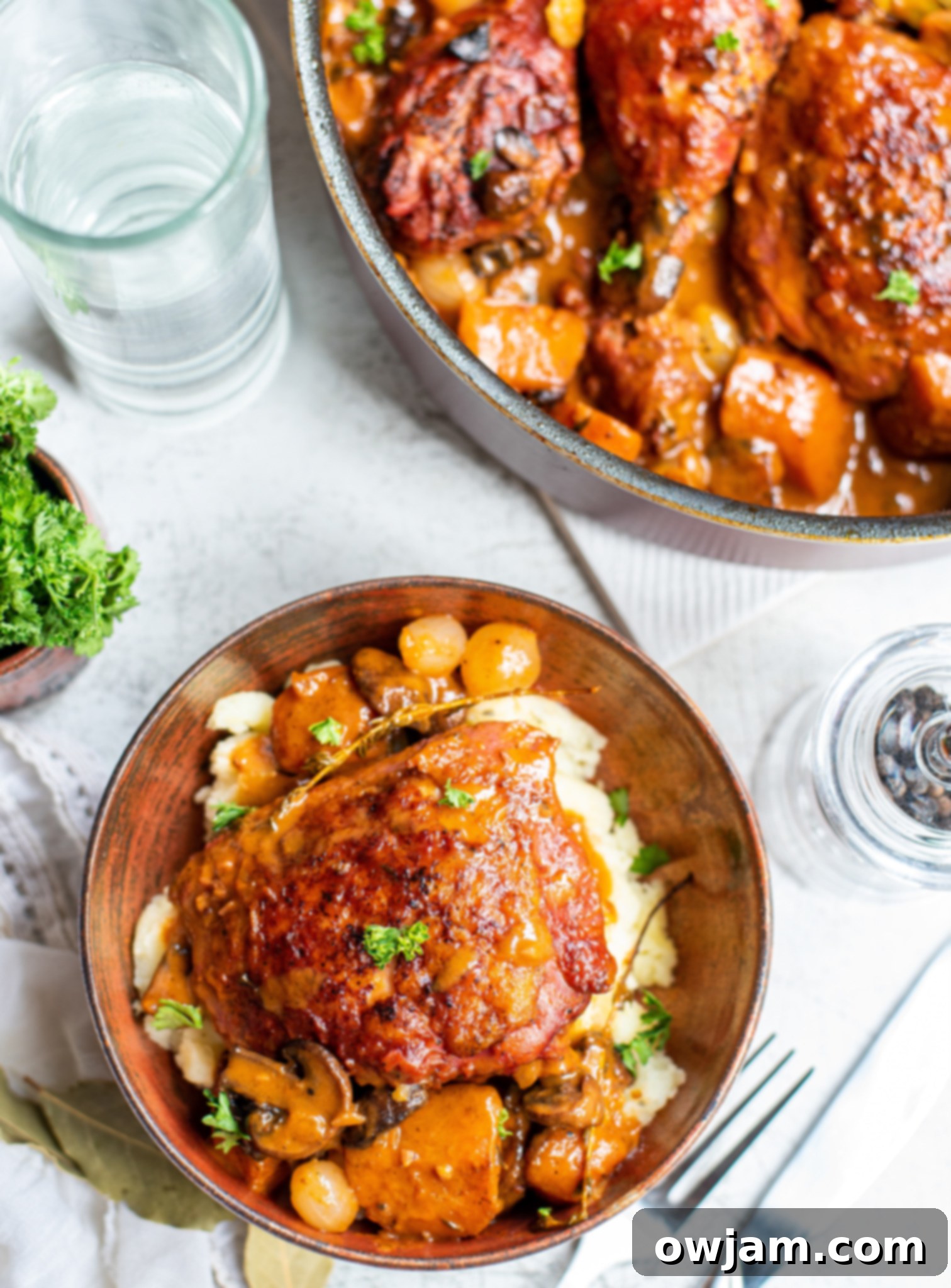 A small bowl of Coq au Vin, garnished with fresh herbs, showcasing the rich, rustic elegance of the dish.
