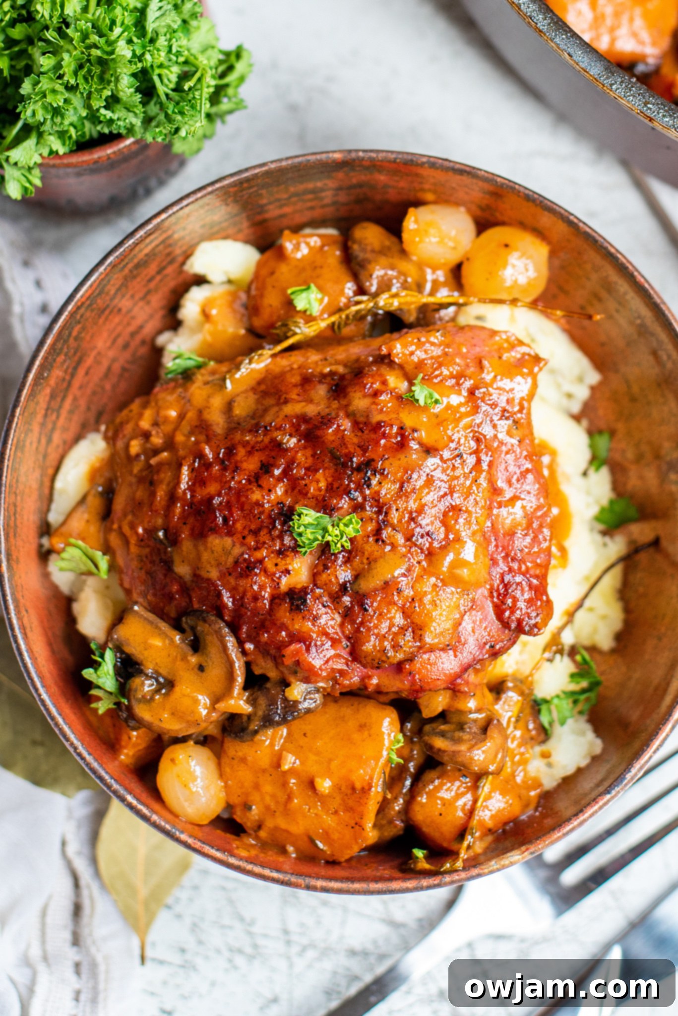 Coq au Vin Recipe served in a rustic tin bowl, highlighting its rich, dark sauce and tender chicken.