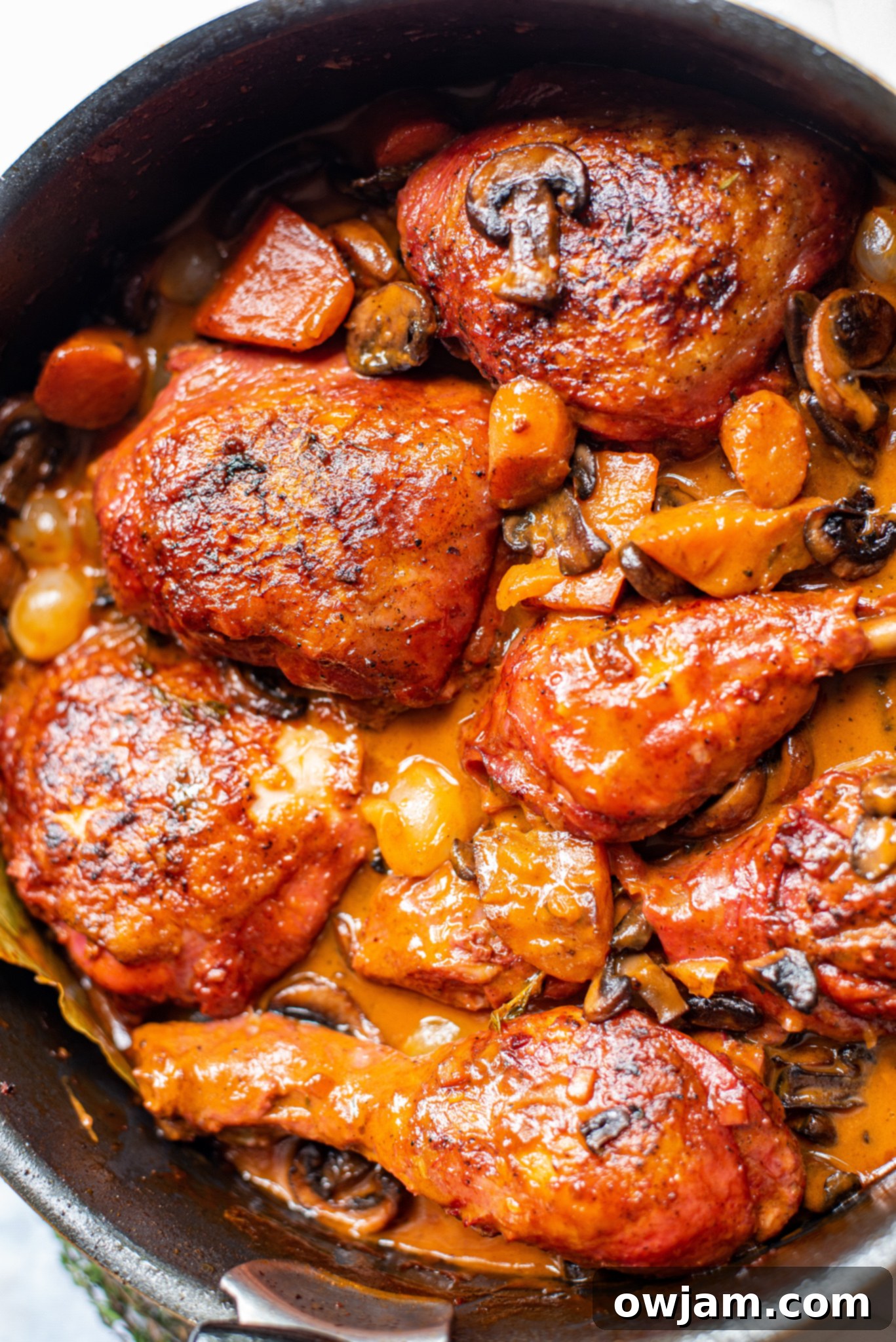 Coq au Vin Recipe garnished with fresh parsley, featuring tender chicken, mushrooms, and pearl onions.