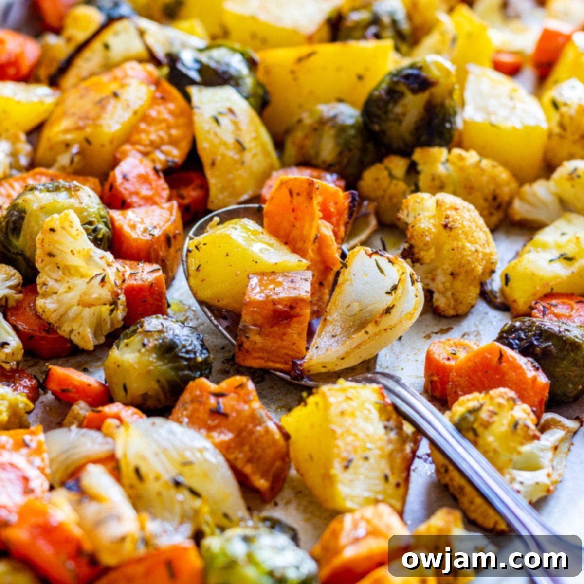 Roasted Fall Vegetables