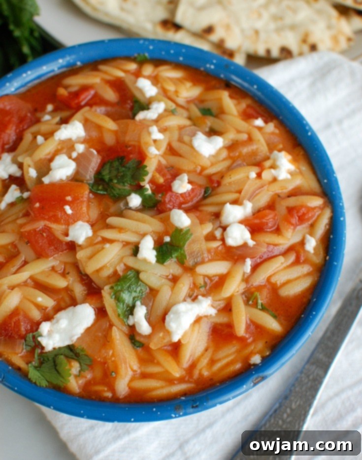 One Pot Creamy Tomato Herb Orzo