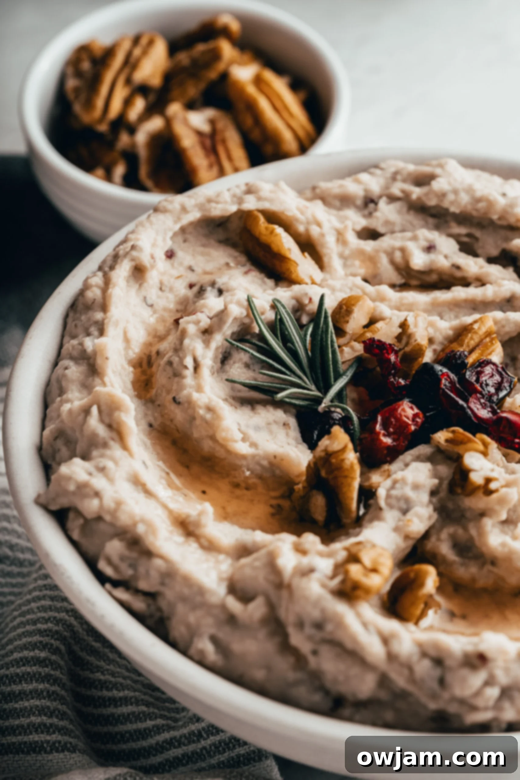 Festive Cranberry White Bean Hummus 2 Creamy White Bean Hummus with Cranberry garnished with pecans and a sprinkle of fresh rosemary.