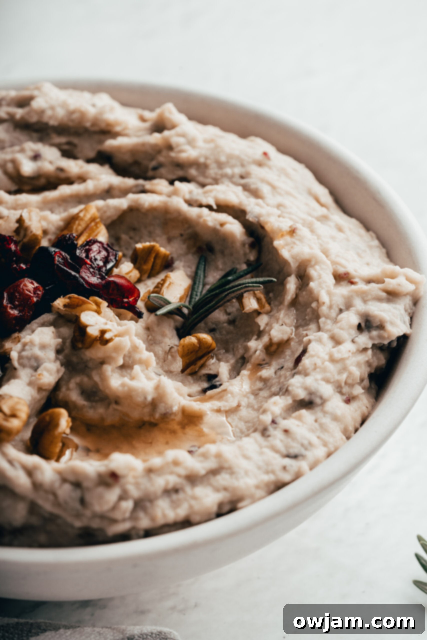 Festive Cranberry White Bean Hummus 11 A close-up of White Bean Hummus with Cranberry in a bowl, elegantly garnished with a fresh sprig of rosemary.