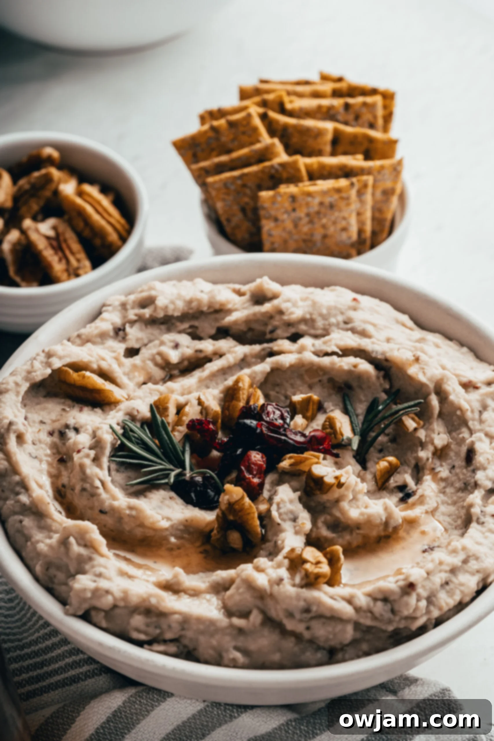 Festive Cranberry White Bean Hummus 4 A beautifully presented bowl of creamy White Bean Hummus with Cranberry, garnished with herbs and ready to be served.