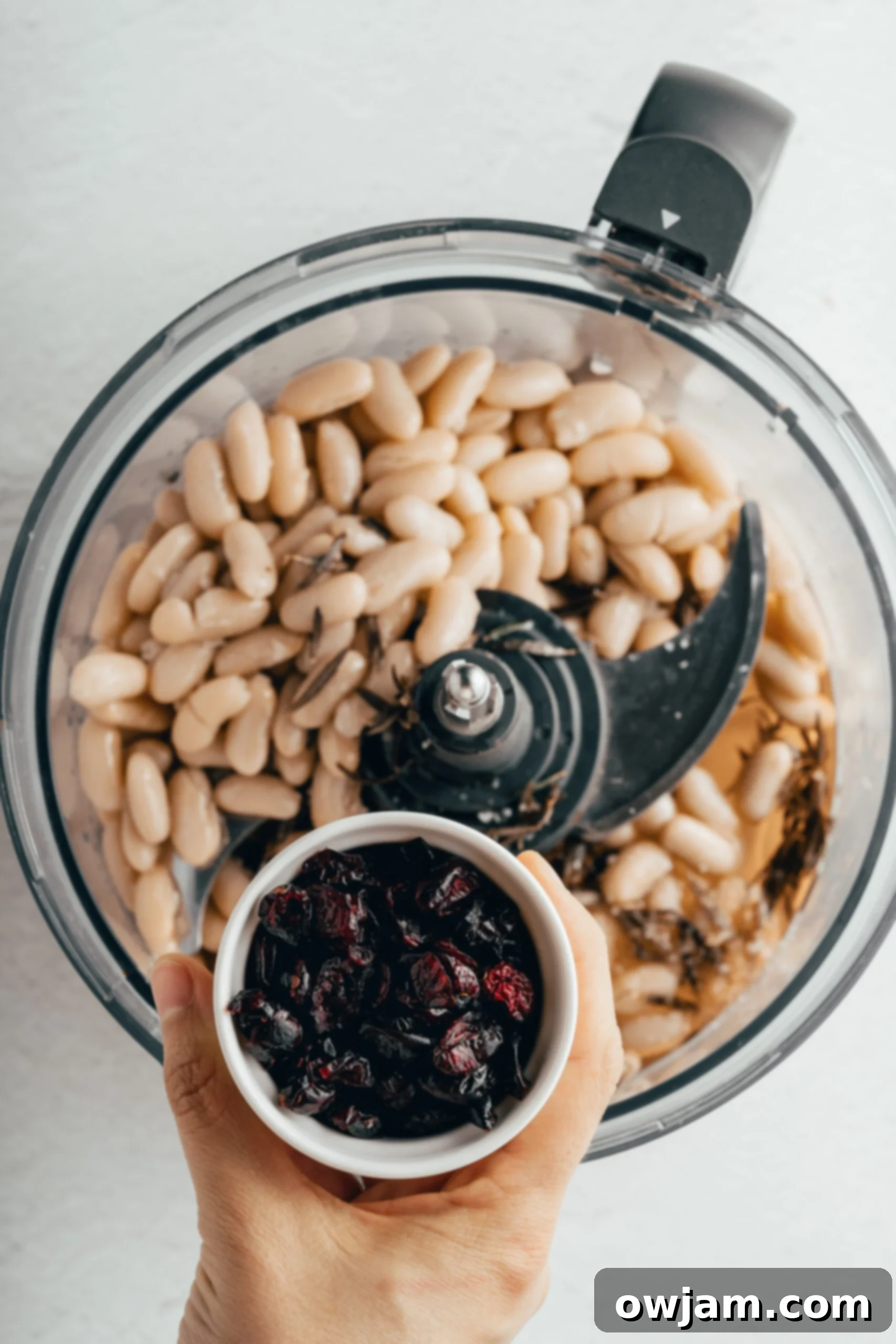 Festive Cranberry White Bean Hummus 8 Ingredients for White Bean Hummus with Cranberry blending smoothly in a food processor, creating a creamy texture.