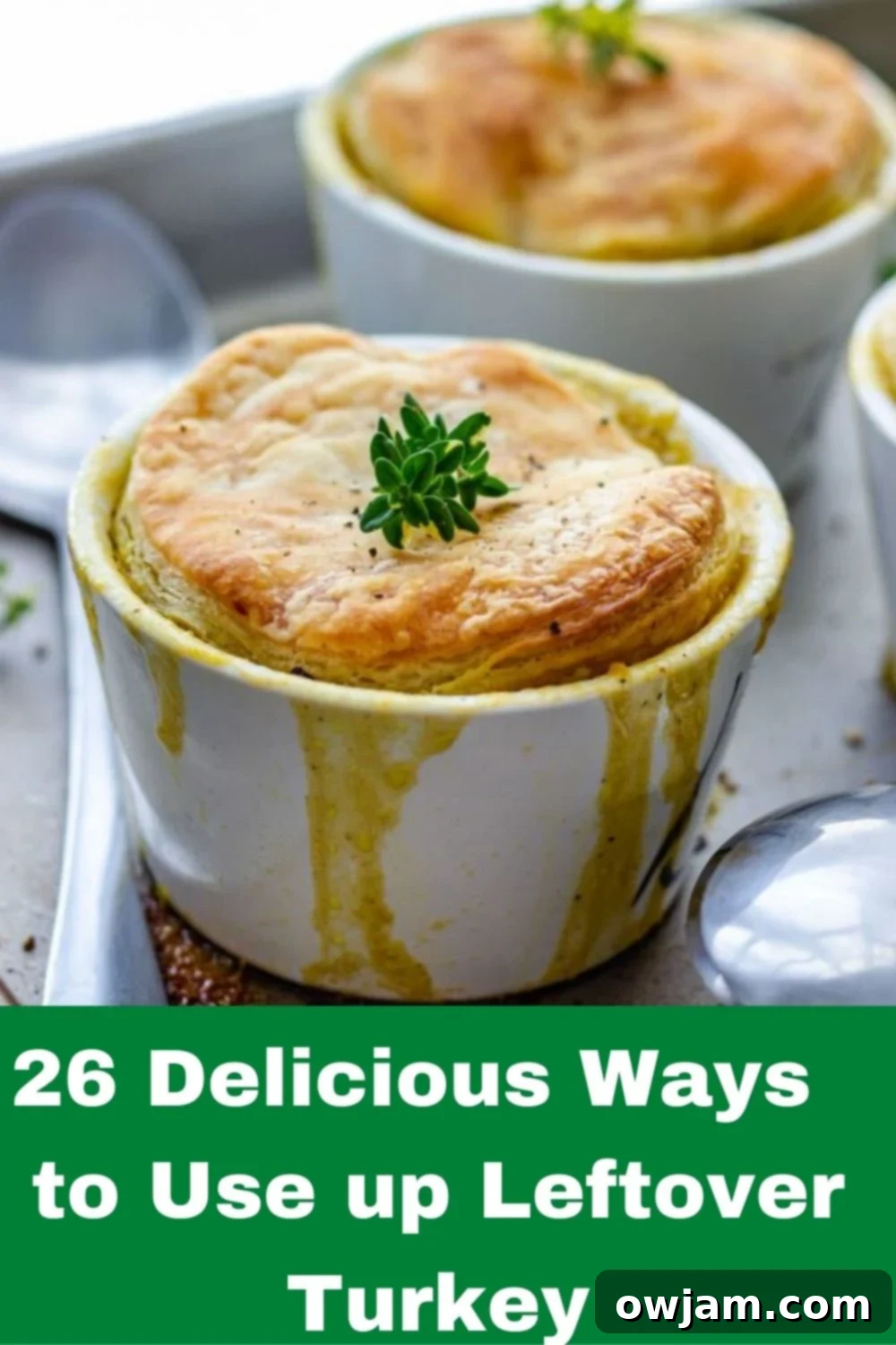 A beautifully presented platter of 26 different dishes made from leftover turkey, showcasing a variety of salads, soups, sandwiches, and casseroles, with a festive holiday background. This image represents the theme of the article: making the most of holiday leftovers.