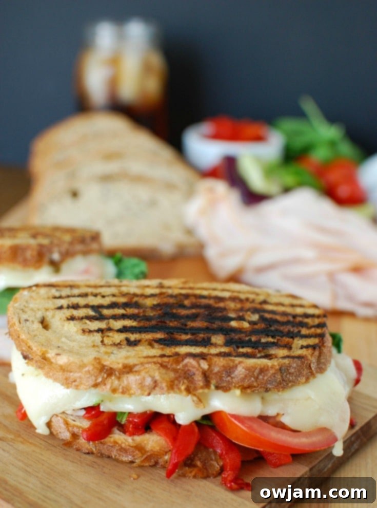 Mediterranean Turkey Hummus Panini