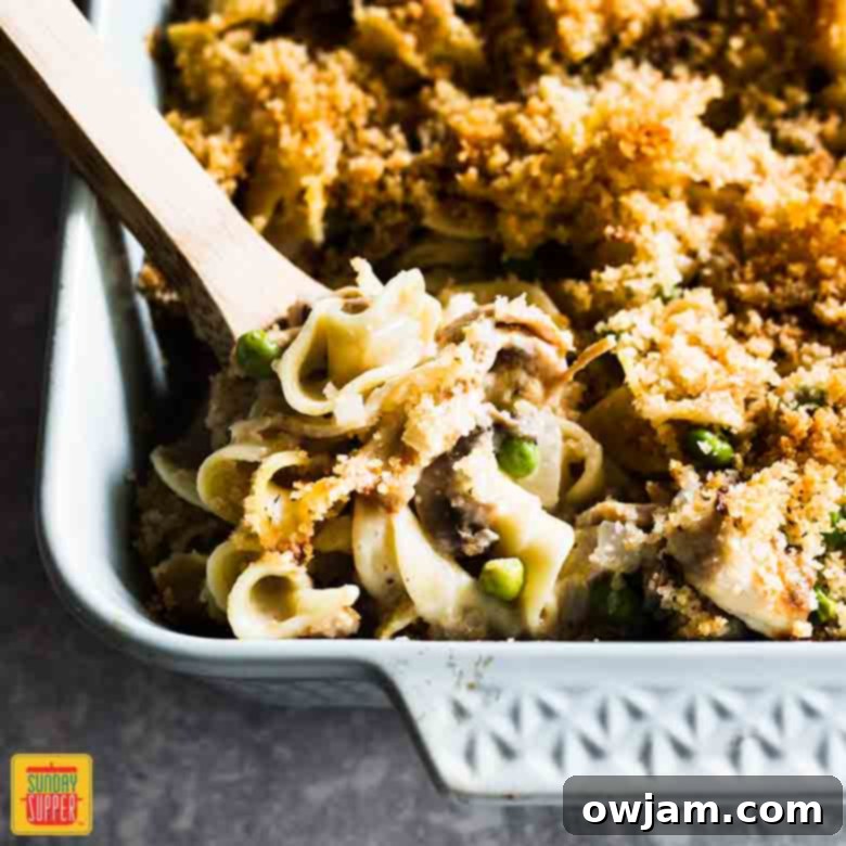 Easy Turkey Tetrazzini