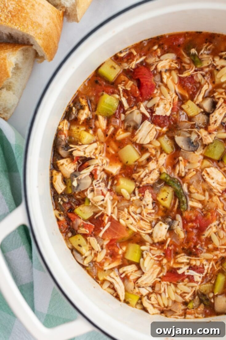 Italian Turkey Orzo Soup