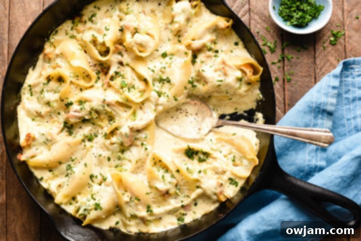 Turkey Alfredo Stuffed Shells